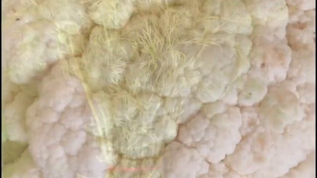 Сказочные цены на овощи и фрукты. смотреть онлайн