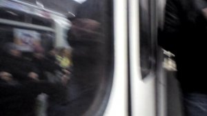 Станция метро парк победы до Купчино линия 2 2018