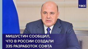 Мишустин сообщил, что в России создали 335 разработок софта