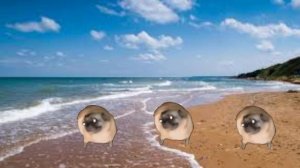 ЛЮТЫЕ МОПСЫ ТАНЦУЮТ ПОД КАКОЙ-ТО НЕИЗВЕСТНЫЙ ФОНК