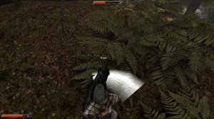 Все драконьи корни в Gothic 2 и где они находятся