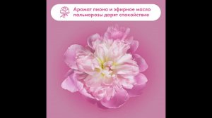 Натуральное мыло BioMio Bio-soap aromatherapy