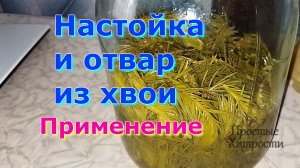 Настойка хвои и отвар (46)/Применение/Часть 3