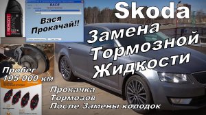 Skoda: Прокачка Тормозов и Замена Тормозной Жидкости На Пробеге 195000км (2024)