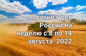 Прогноз для России на неделю с 8 по 14 августа 2022г. Расклад- гадание