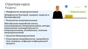 Проморолик Морфология бактерий.