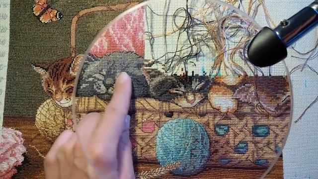 Текущий процесс отчет 10 "Новорожденные котята" набор от Dimensions смотреть онлайн