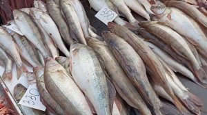 А знаете,где очень дешево? Халявные цены на рыбу в январе 2024 . #Халява  #Таганрог #Цены  #рыба