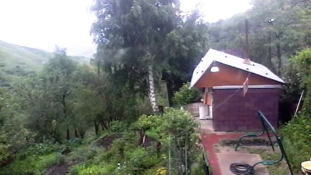 После дождя вышел подышать на свежий воздух посмотреть как что . смотреть онлайн