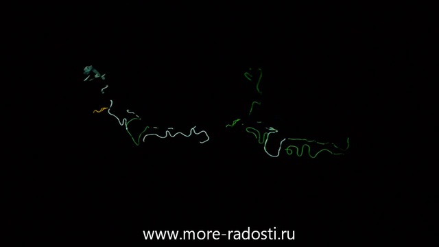 Неоновое шоу 