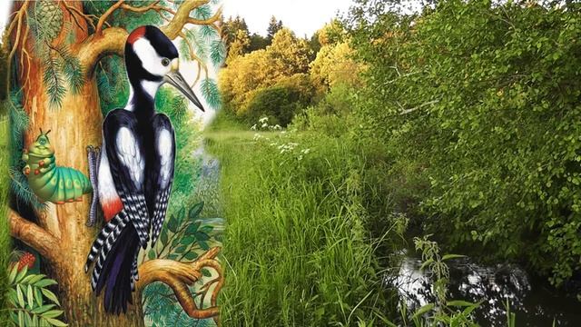 МБУ "Библиотека" Акция "Летнее чтение" Виталий Бианки "Кто чем поёт" Читает Тюнина Екатерина смотреть онлайн