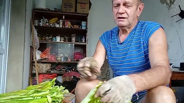 Табак на шпагат, работа с листом смотреть онлайн