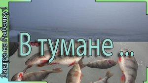 Зимняя рыбалка в туман - на окуня в Воронежской области