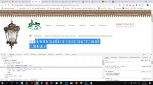 Уроки CMS OpenCart 3 для новичков. #13 - страница продукта.