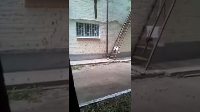 Мошки в паутине смотреть онлайн