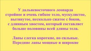 Мир животных. Дальневосточный леопард