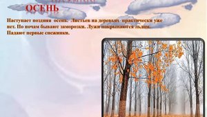 Презентация Деревья осенью