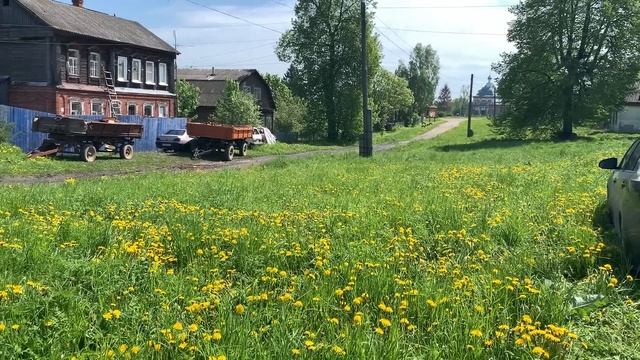 Наконец открыл дачный сезон Уже в саду появились первые черешенки