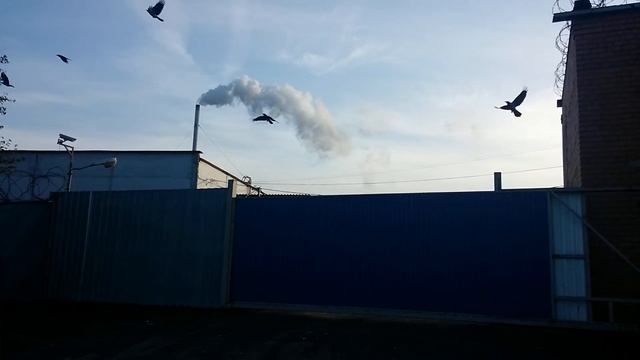 Костный завод смотреть онлайн