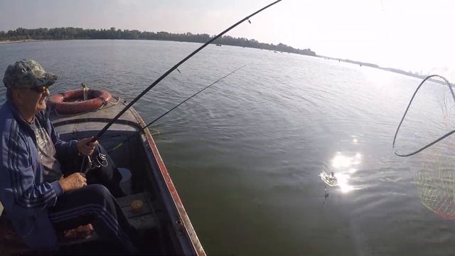 Ловля КАРАСЯ ПЛОТВЫ и ЛЕЩА на ЯЙЦА! Рыбалка в конце лета смотреть онлайн