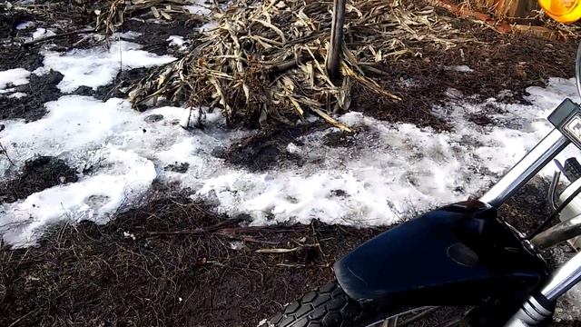 Bird 125. 2 смотреть онлайн