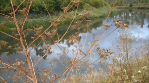 сентябрь, он осени начало.mp4