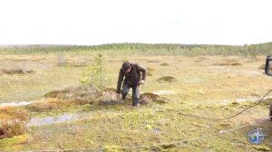 Вездеход Трэкол засадили в болоте.(Got stuck in a swamp on Trecol).