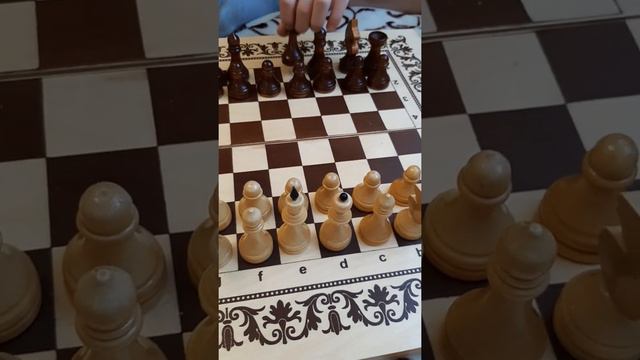 ИГРА В ШАХМАТЫ. СЫН РАССКАЗЫВАЕТ  КАК ИГРАТЬ В ШАХМАТЫ. УРОКИ ИГРЫ. ♟🙂👍