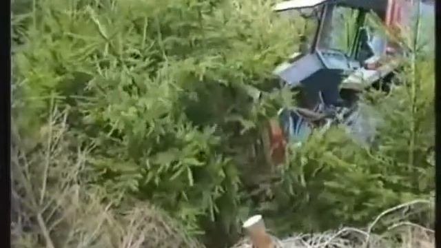 ЯрЭкстрим - Ярославль