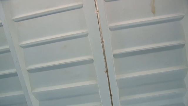 Профессиональный и любительский спорт. Professional and amateur sports смотреть онлайн