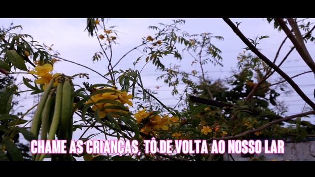 ? Rosas de Ouro 2018: SAMBA CAMPEÃO | SAMBA 10 | Aquiles da Vila e cia смотреть онлайн