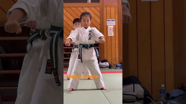 6 years old. Heian Nidan #karate #kata #空手