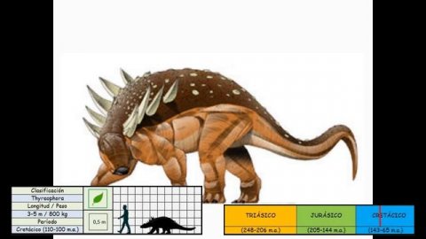Enciclopedia de los DINOSAURIOS | ?? | ACANTHOPHOLIS Enciclopedia dinosaurios