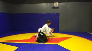 Aikido Iwama ryu. Nykkyo omote/ura
