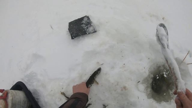 На любимой речке - проверка жерлиц, мелкие щучки голодные. смотреть онлайн