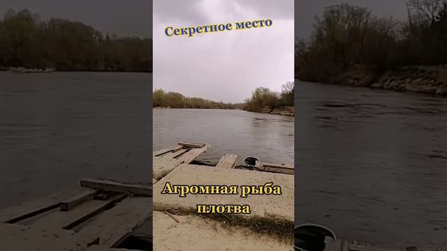 река сура