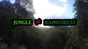 Ascent of Cerro Chato, Volcanoes, & Rainforests - Costa Rica Pt 3 | Koaw Nature