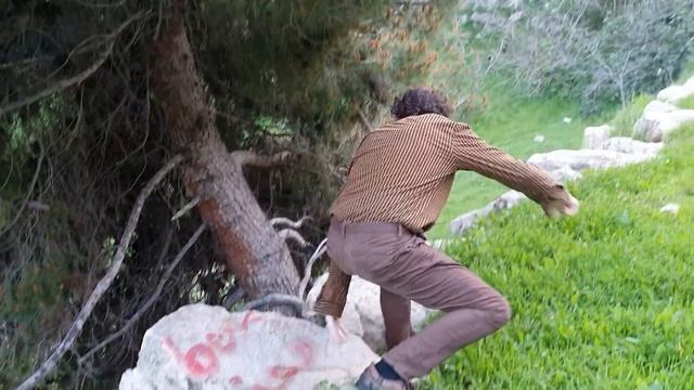 Святая Земля сегодня 29.03.20 смотреть онлайн