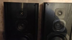 Колонки ART Audio h150 и усилитель Technics SU8080 двойное моно