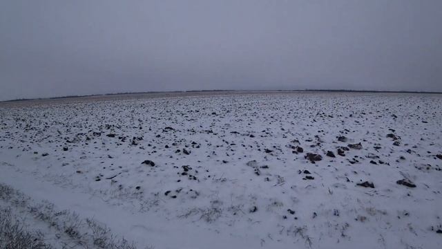 Охота на зайца с Русской гончей Звоной!! Заячья охота зимой 2024