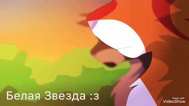 Коты воителе Ежевика
