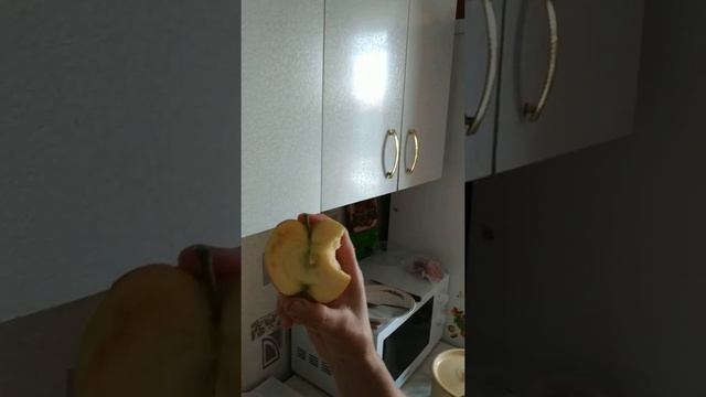 Анис свердловский