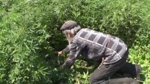 Похвала деревенской жизни. Посёлок Потеряевка православный, строящийся с нуля.