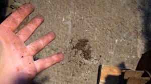 УД-2. ЛЕГЕНДАРНЫЙ ДВИГАТЕЛЬ ИЗ СССР 1952 ГОДА ПРОИЗВОДСТВА!