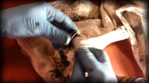 Переборка велосипедной вилки Suntour XCR