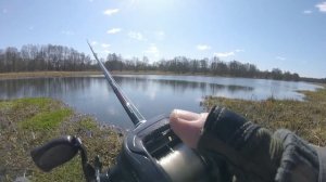 Daiwa T3 MX и отчёт о весенней рыбалке