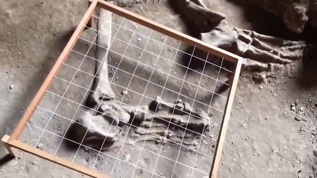 Гигантскии человеческии скелет наиденныи в пещере Као Кханап Нам в Таиланде
