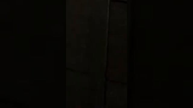 Плазмоиды ночью🐾🐱✨🤤