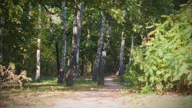 Почему мы Страдаем_ Неприятности случающиеся с нами. Старец Варнава Гефсиманский (Меркулов).mp4 смотреть онлайн