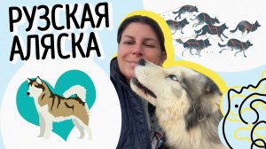 Кто спасает хаски и развивает ездовое собаководство? // «Рузская
Аляска» // Сети Добра